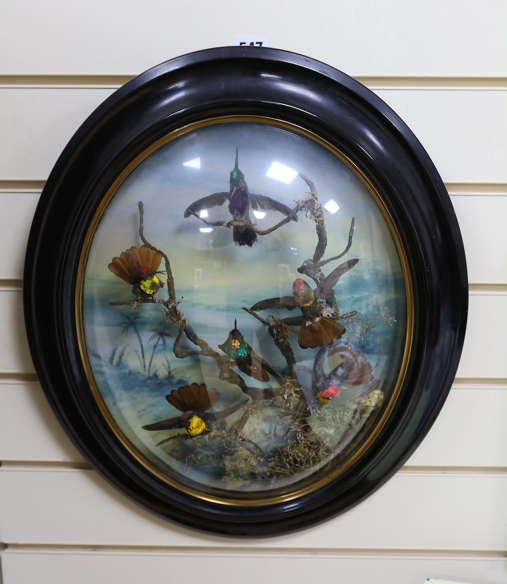 A Victorian taxidermic bouquet of humming birds in convex oval frame - approx 60cm high